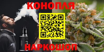 apvp Кингисепп