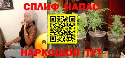 apvp Кингисепп