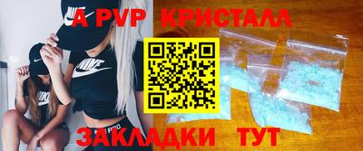 apvp Кингисепп