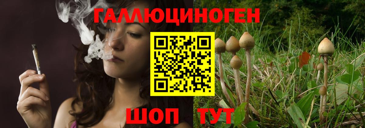 Галлюциногенные грибы ЛСД Тутаев